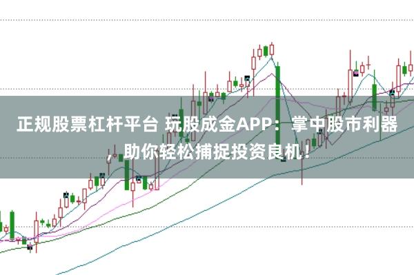 正規(guī)股票杠桿平臺 玩股成金APP：掌中股市利器，助你輕松捕捉投資良機(jī)！