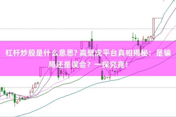 杠桿炒股是什么意思? 贏壁虎平臺真相揭秘：是騙局還是誤會？一探究竟！