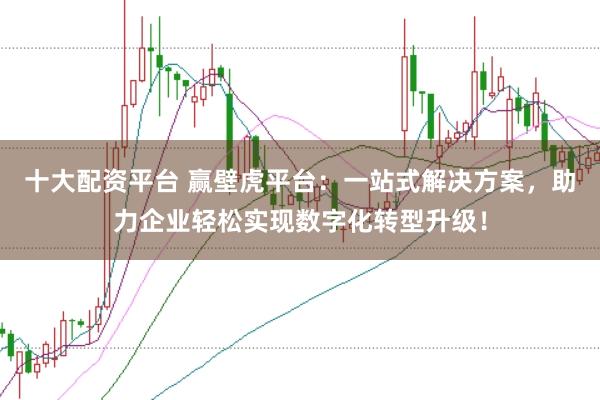 十大配資平臺 贏壁虎平臺：一站式解決方案，助力企業輕松實現數字化轉型升級！