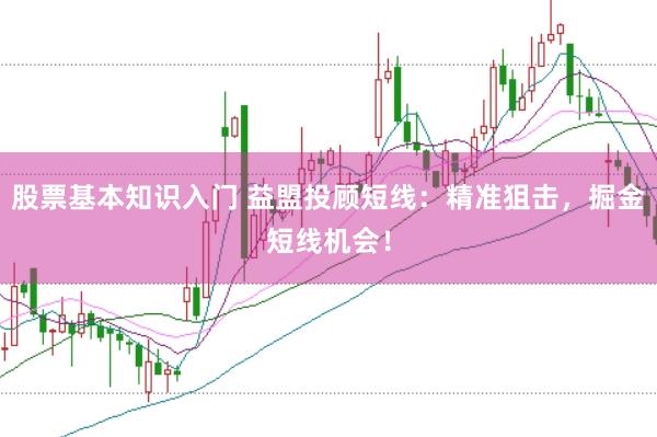 股票基本知識入門 益盟投顧短線：精準狙擊，掘金短線機會！