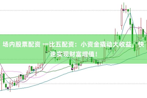 場內(nèi)股票配資 一比五配資：小資金撬動大收益，快速實現(xiàn)財富增值！
