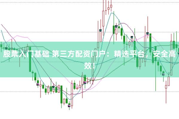 股票入門基礎 第三方配資門戶：精選平臺，安全高效！