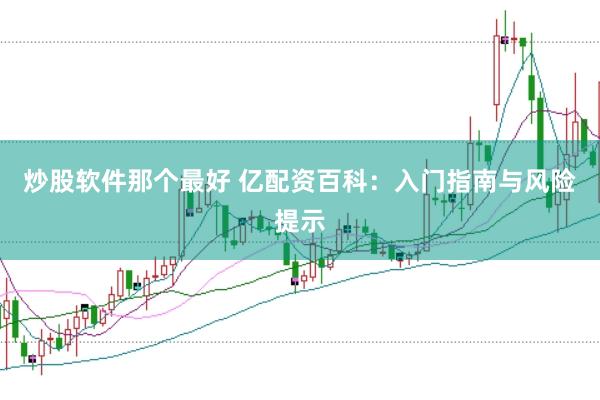 炒股軟件那個最好 億配資百科:入門指南與風險提示