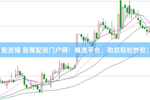 配資貓 股票配資門戶網：精選平臺，助您輕松炒股！