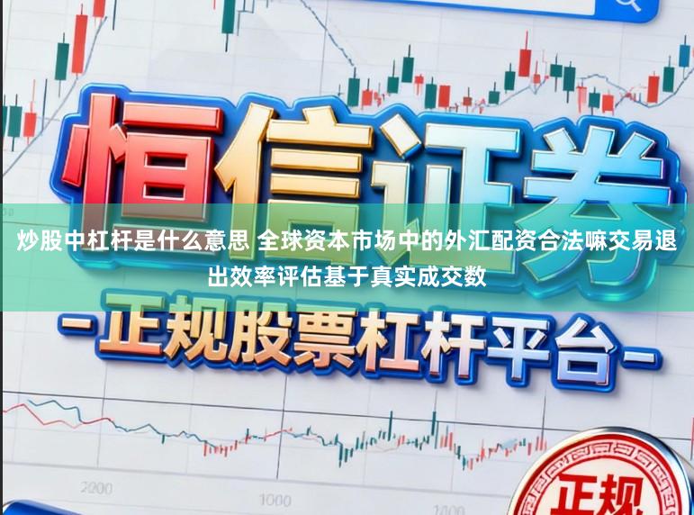 炒股中杠桿是什么意思 全球資本市場中的外匯配資合法嘛交易退出效率評估基于真實成交數